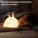Slug Night Light