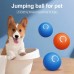 Interactive USB Rechargeable Smart Electric Dog Ball