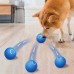 Interactive USB Rechargeable Smart Electric Dog Ball
