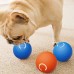 Interactive USB Rechargeable Smart Electric Dog Ball
