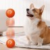 Interactive USB Rechargeable Smart Electric Dog Ball