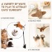 Simulated Chirping Bird Cat Toy