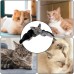Rotating Cat Toy
