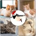 Rotating Cat Toy