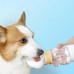 Portable Dog & Cat Water Bottle Dispenser