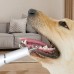 Ultrasonic Dog Teeth Cleaner