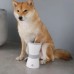 Electric Dog & Cat Paw Cleaner – USB Charging Automatic Pet Foot Washer – Low Noise, Portable & Efficient 3.7V Electric Cleaner for Dogs, Cats & Pets
