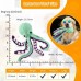 Pet Plush Octopus Puzzle Chew Toy
