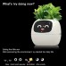 Artificial Intelligence AI Pet Flowerpot Planting Robot 7 Smart Sensors