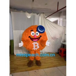 Customize Bit Coin Cartoon Costume