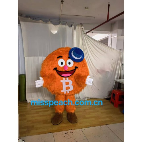 Customize Bit Coin Cartoon Costume