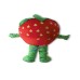 Strawberry Mascot Costume