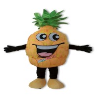 Pineapple Cartoon Costume Pineapple Cartoon Costume