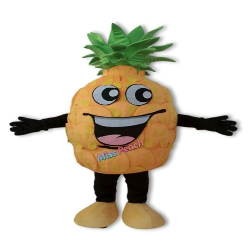 Pineapple Cartoon Costume