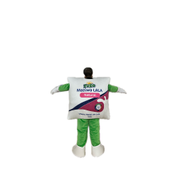 customize package cartoon costume for promotion