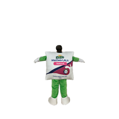 customize package cartoon costume for promotion