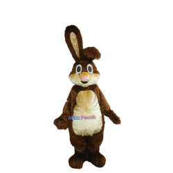 Rabbit Cartoon Costume