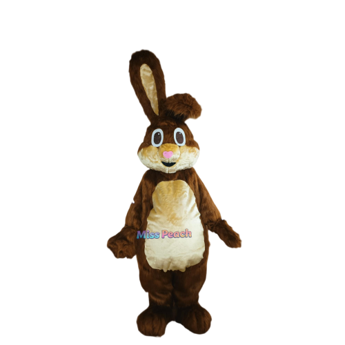 Rabbit Cartoon Costume