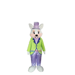 Easter Bunny Cartoon Costumes