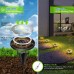 Solar Outdoor Lights Yards Drive Way step Decor Light Waterproof Solar Pathway Lights